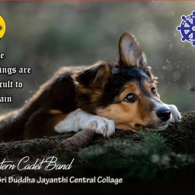 Whatsapp Image 2022 09 15 At 8.14.17 Pm